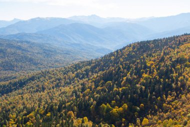 Güzel sonbahar ormanı alçak dağları kaplıyor.