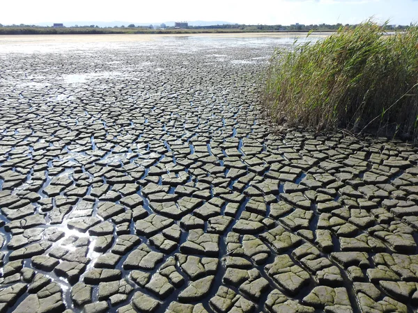 Сухое Дно Озера Покрытое Трещинами Экологическая Катастрофа — стоковое фото