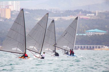 Rüzgarlı bir günde yelkenli yelkenli yelkenli yarışı.