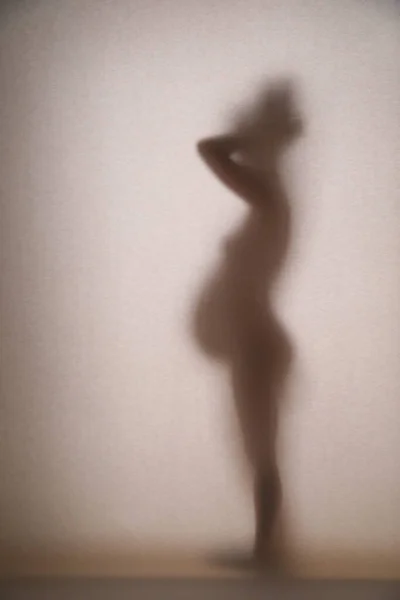 一个年轻孕妇的美丽轮廓在纸网上模糊了 — 图库照片