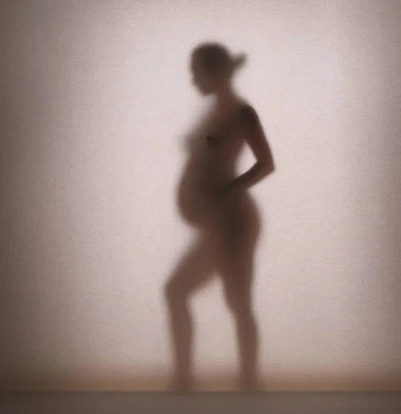 Beautiful Silhouette Young Pregnant Woman Blurred Paper Web — Stock fotografie