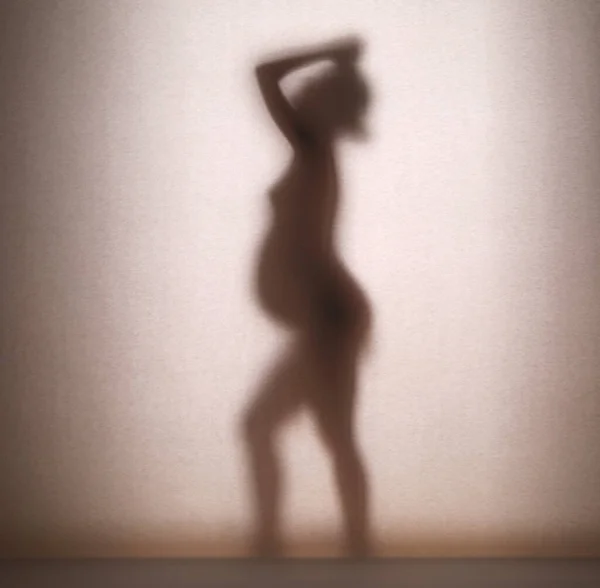 Hermosa Silueta Una Joven Embarazada Borrosa Través Tela Papel — Foto de Stock
