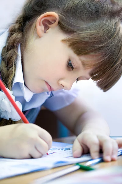 Ragazza studiando — Foto Stock