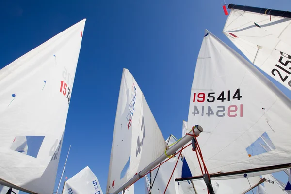 Blick auf die Segel der Regatta — Stockfoto