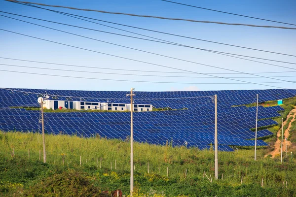 Sonnenkollektoren aus Photovoltaik-Modulen — Stockfoto