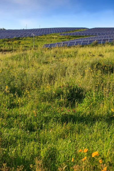 Paneles solares de módulos fotovoltaicos — Foto de Stock