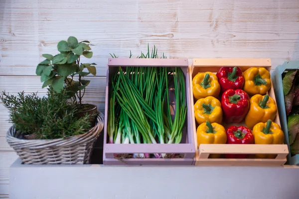 Vegetables in the boxes — Stock Photo, Image