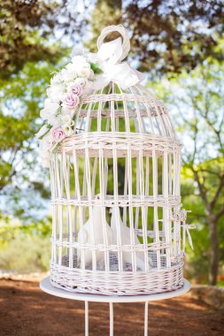 Güvercinler içinde hapishane kuşu