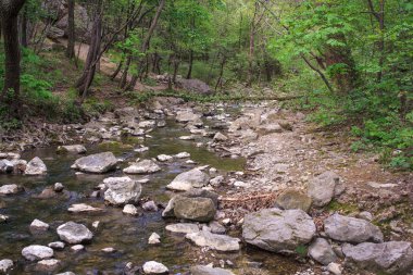 Görünümü Rosandra Nehri'nin