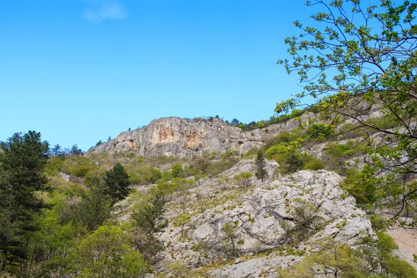 Vista de Val Rosandra — Fotografia de Stock