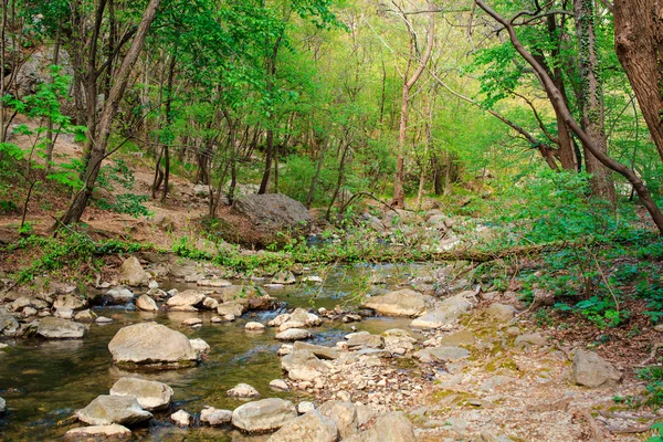 Vista del río Rosandra — Foto de Stock