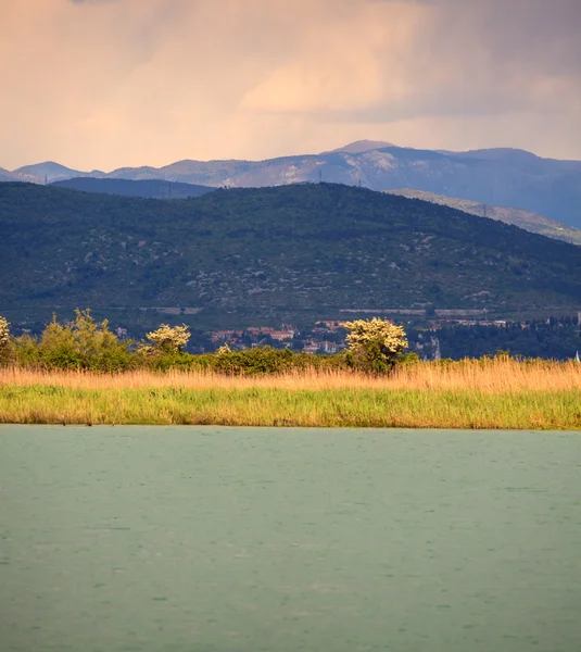 Naturreservatet av floden Isonzo — Stockfoto