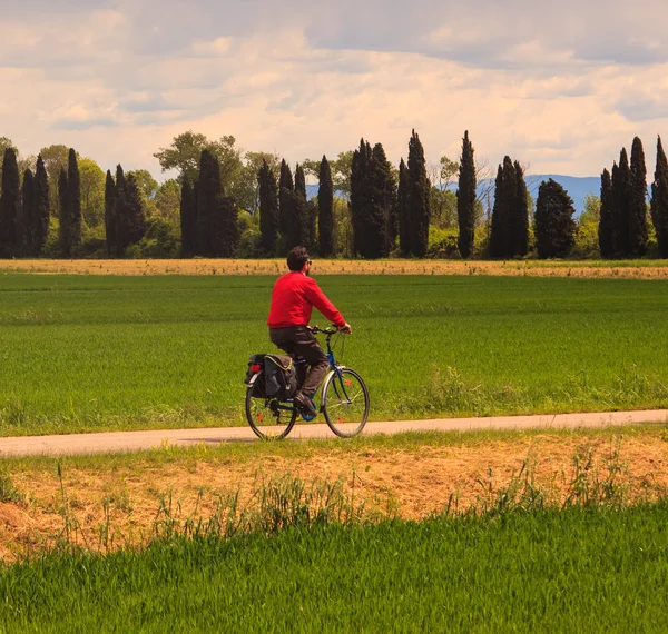 Ποδηλάτης στη φύση αποθεματικό του ποταμού Isonzo — Φωτογραφία Αρχείου
