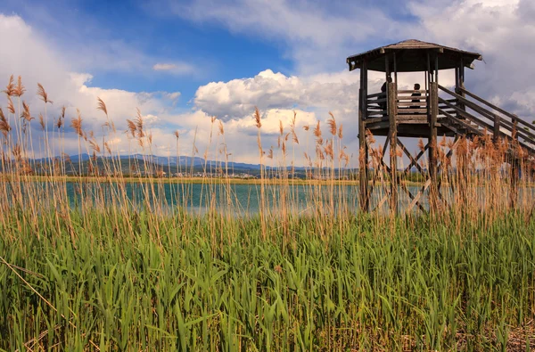 Birdwatching tower, řeku Isonzo — Stock fotografie