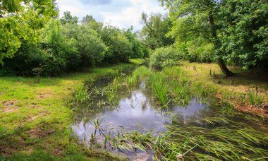 Nehir Livenza sitedeki,