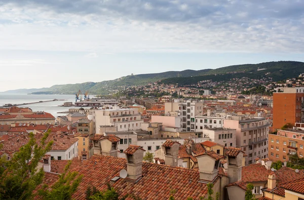 Veduta dei tetti di Trieste — Foto Stock