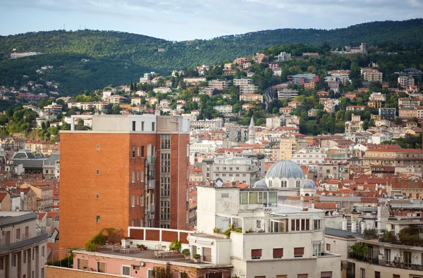 Veduta dei tetti di Trieste — Foto Stock