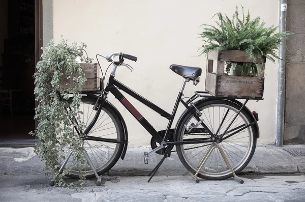 Vakken met plant op fiets — Stockfoto