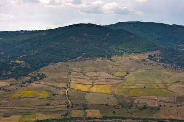 Sicilya 'nın Sperlinga kırsalındaki ekili tarlaların manzarası. İtalya