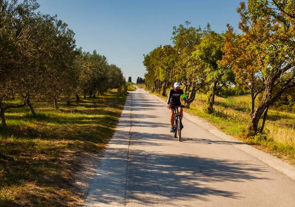 Strunian Slovinsko Září Cyklista Horských Kolech Venkově Vedle Olivového Háje — Stock fotografie