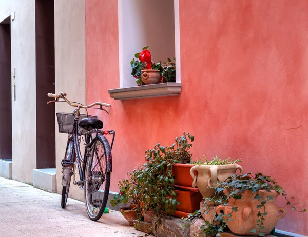 Blick Auf Ein Altes Fahrrad Neben Den Blumentöpfen Der Straße — Stockfoto