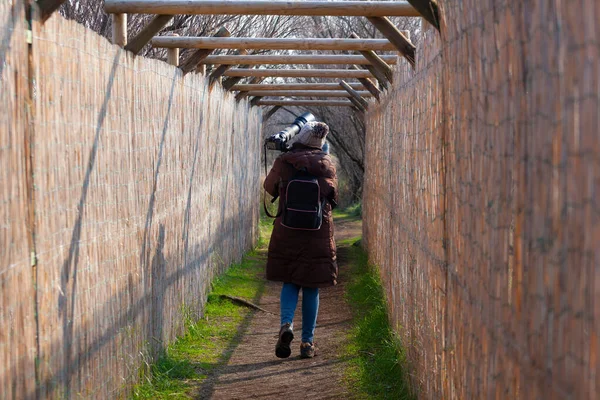 Kuş Fotoğrafçısı Bir Yolda Yürüyor Evine Geri Dönüyor — Stok fotoğraf