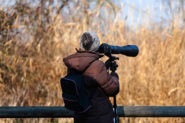 鳥の写真家は カメラとテレフォトで写真を撮る Laguna Marano — ストック写真