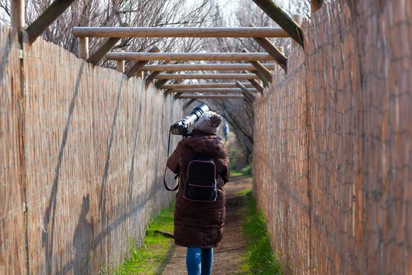 鳥の写真家が道を歩いて家に戻る — ストック写真