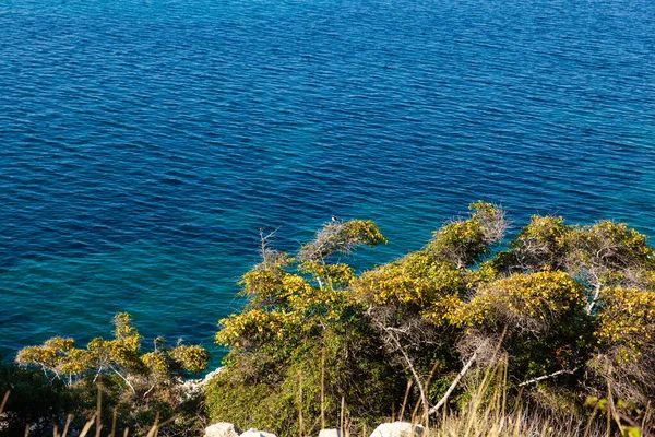 Denizin Yanındaki Bitki Örtüsü Stara Baska Krk Adası Hırvatistan — Stok fotoğraf