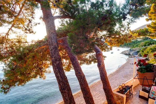 Utsikt Över Pines Bredvid Stranden Vid Solnedgången Stara Baska Krk — Stockfoto