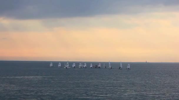 School Windsurf Trieste Sea Italy — Stock Video