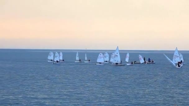 意大利的里雅斯特海的风帆学校 — 图库视频影像