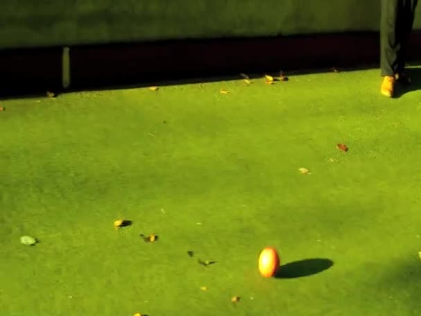 Ігрові Кульки Підробленій Траві — стокове відео