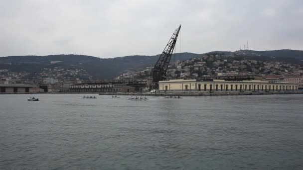 Roddkapplöpning Trieste Hav — Stockvideo