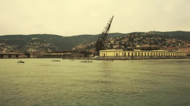 Rowing Race Trieste Sea — Stock Video