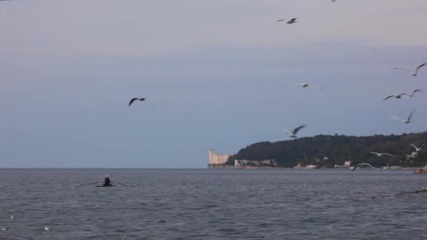 空にカモメとミラマーレ城の景色 — ストック動画