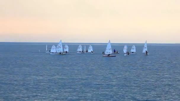 Escuela Windsurf Mar Trieste Italia — Vídeos de Stock