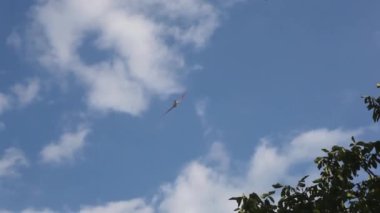 Mavi gökyüzünde akrobatik uçak manzarası