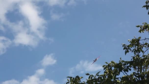 Zicht Aerobatics Vliegtuig Blauwe Lucht — Stockvideo