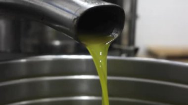 Zeytin yağı çıkarma sırasında değirmen