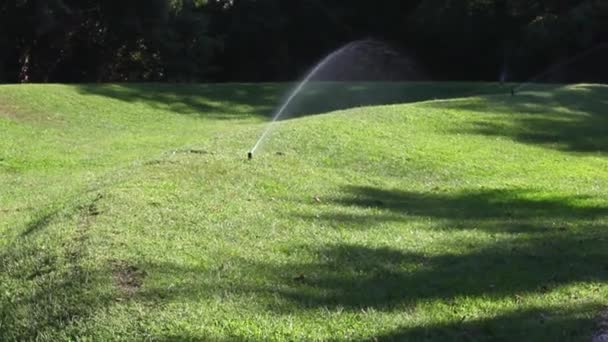 Irrigação Jardim — Vídeo de Stock