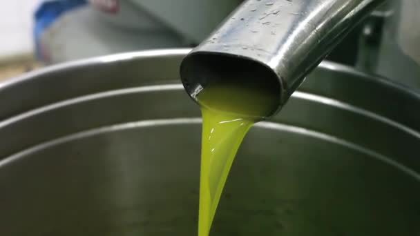 Mill Olive Oil Extraction — Stock Video