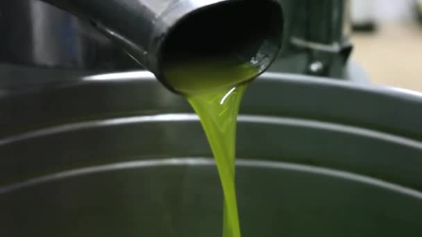 橄榄油提取过程中的磨坊 — 图库视频影像