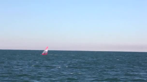 Windsurfer Meer Von Triest — Stockvideo