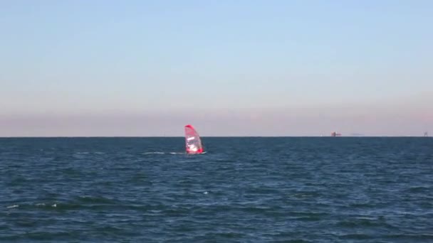 Windsurfer Mar Trieste — Vídeos de Stock