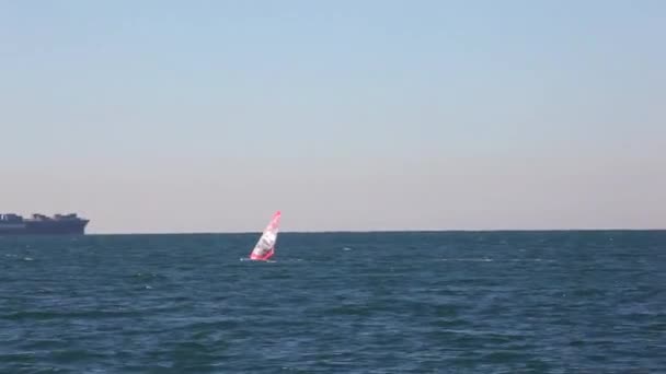 Windsurfer Nel Mare Trieste — Video Stock