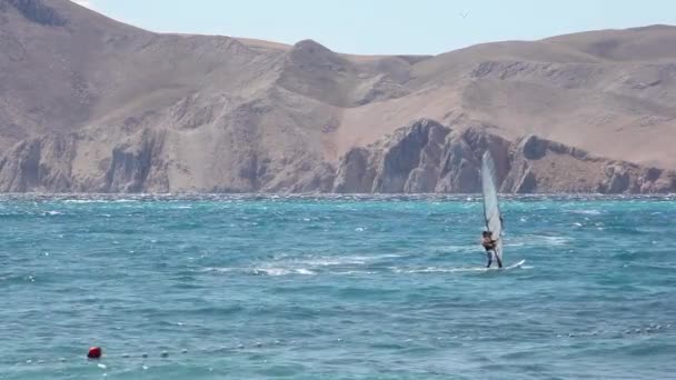 Windsurfers Baska Mar Krk Ilha Croácia — Vídeo de Stock