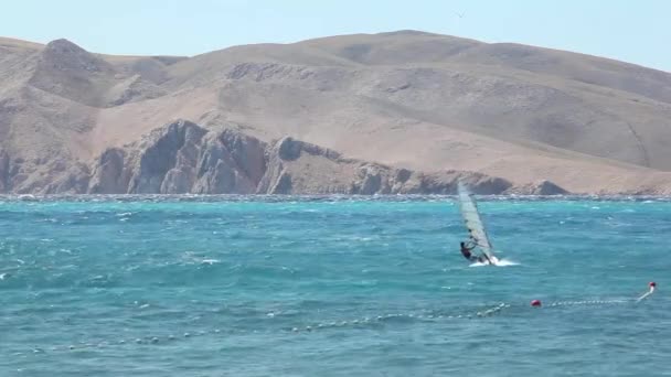 Windsurfers Baska Mar Krk Ilha Croácia — Vídeo de Stock