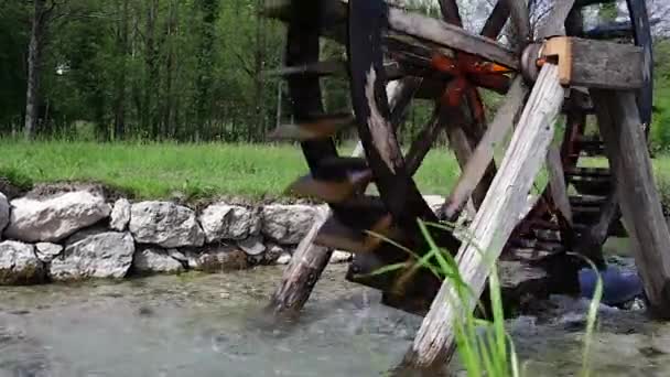 Water wheel in the river — Stock Video