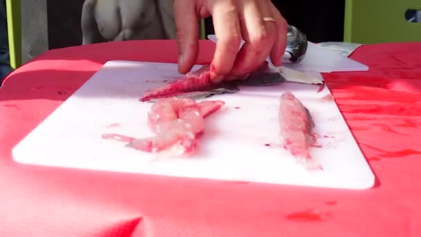 Tagliare il pesce — Video Stock
